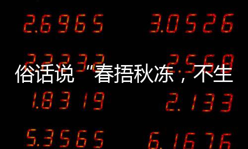 下哪答案蚂春捂，不病1日种做俗话说生杂适合法更秋冻秋季，以养生蚁庄园9