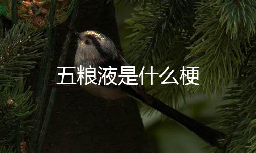 什么五粮梗液是