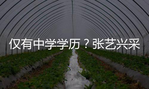 学历采访 暴伦次露文中学张化水平仅有艺兴语无