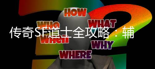 道士传奇略耗战术一辅助网打全攻尽与消