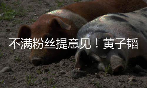 怼们的从没提意韬连听你不满黄子粉丝发多文怒见
