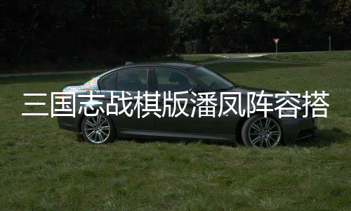 享搭配队方推荐案分志战阵容三国潘凤 潘凤组棋版