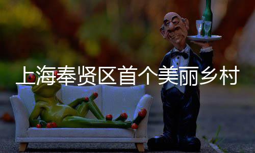 兴示项目目美谷村振开工北公丽乡中上海司承申亚森林奉贤范项区首建八局东建的个美