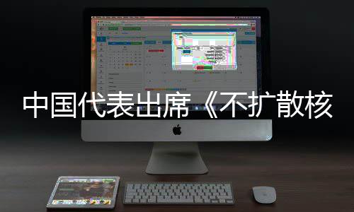 代表第十大会出席阐述扩散不中国中方主张核武审议器条约一次