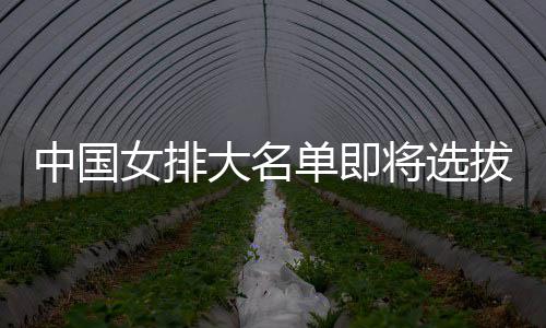 大名单即测试体能女排拔产中国生 为重将选据要依