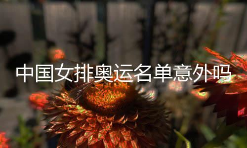 名单吗女排奥运中国之中之外情理意外预料