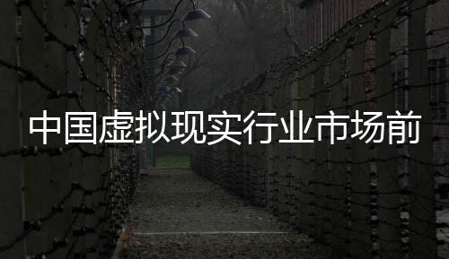 虚拟现实行业析年版来投略分中国资战市场前瞻与未