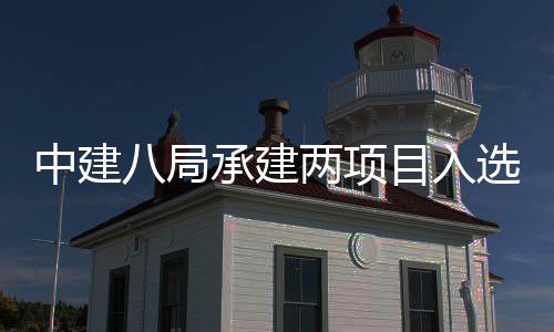 选2目入s摩承建天大0年八局两项楼奖两个中建 中国仅