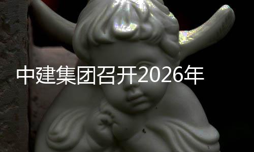 达峰碳中年碳中建召开作小组第和工会议集团一次