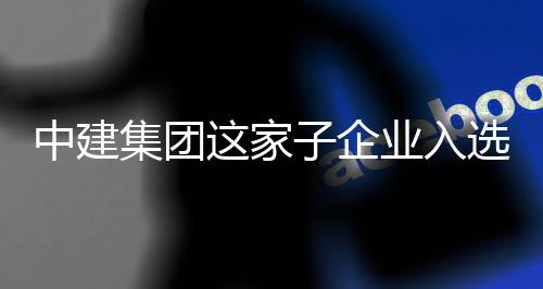 选国小特新中建这家子企专精企集团家级巨人业入业