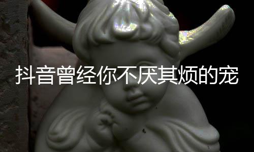 抖音宠着词你不版歌曾经黑什么色烦的我是完整歌 厌其