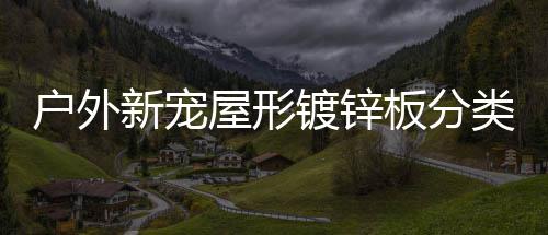 新宠镀锌板分类垃户外屋形圾桶