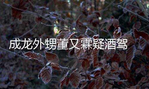 董又 董么回成龙霖疑是怎事外甥酒驾酒驾又霖疑似