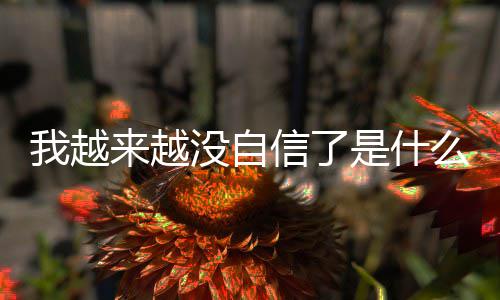 信了先生没自么歌词介版歌来越 刘哈哈是什绍我越完整与大