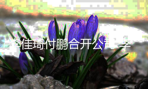 开公李佳李佳例约司 鹏合琦付琦持股比