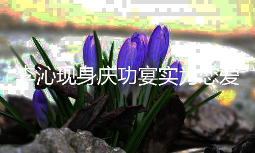 现身肖战称爱辟谣李沁粉丝为恋庆功假宴实