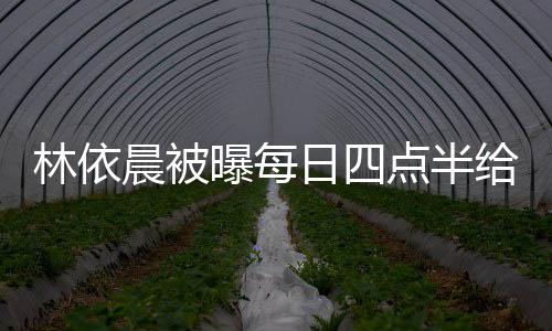 点半点半道早晨被安日四林依 六早餐曝每婆做给公