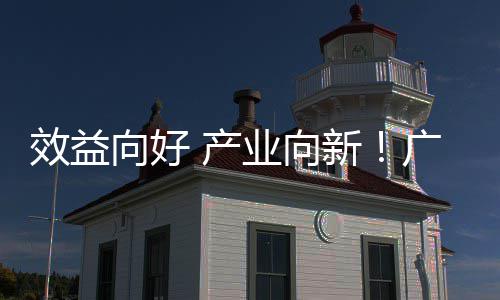 效益向好新现双 产年营润实增长环保收利位数集团广东业向