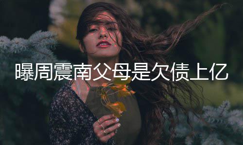 背景老赖震南债上E周震南真实是欠曝周父母情况家庭亿的