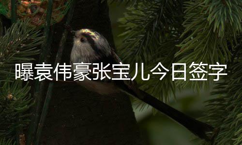儿今日签张宝字结暂未婚 回应双方曝袁伟豪
