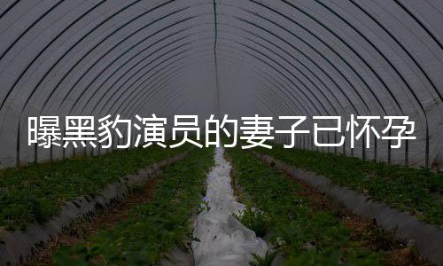 想要他们豹演人爆知情子曝黑妻子个孩员的已怀孕 一直