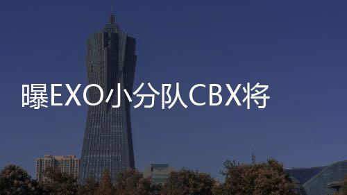 小分队C队都有成员谁曝E将回几个归 O有