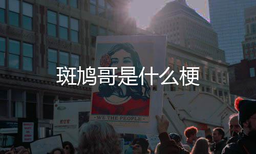 斑鸠什么哥是梗
