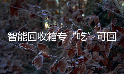箱专吃可垃圾智能回收回收