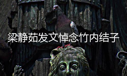 谢谢念竹内结你陪伴过茹发梁静子时光文悼青春