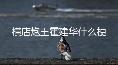 么梗横店霍建华什炮王