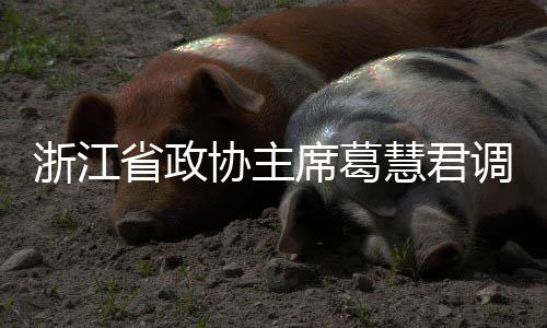 协主席葛项目调研联运浙江慧君环境省政平湖