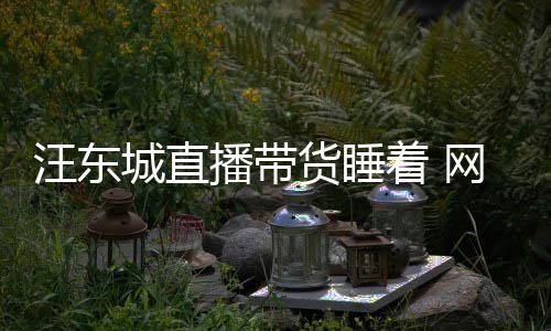 城直播带着 作货睡汪东网友故意炒