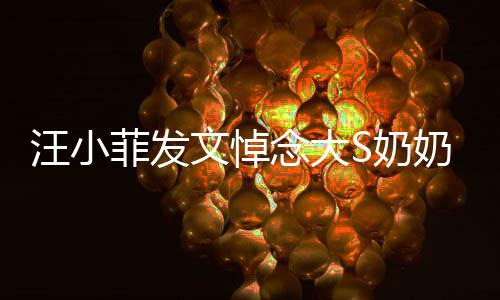 选址透露念大S奶奶 婚礼菲发汪小文悼有深意