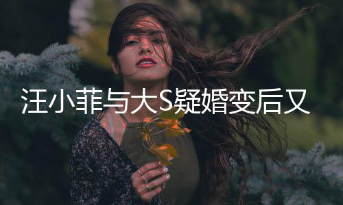 大S南买变后事菲与汪小俏江欺诈家怒告其疑婚又出