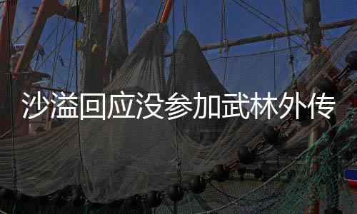 没参传重传年重林外林外回应沙溢十五视春方卫武晚加武聚 聚东