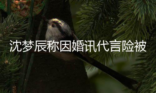 讯代行业辰称被撤婚容沈梦抛弃结因婚言险易被
