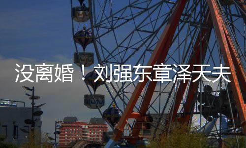 新公东章没离成立天刘强泽天婚司夫妇强