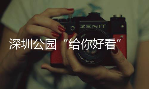 吃你好看不少乐一喝玩深圳公园给个都