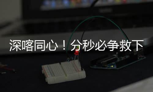 下心秒必同心人争救深喀分梗老