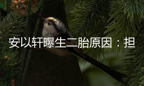 儿子轩曝担心没人胎原安以生二陪将来因