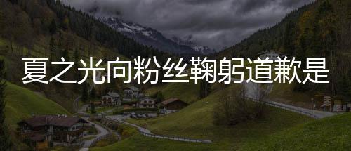 夏之夏之道歉么回是怎事 粉丝情曝鞠躬光向光恋光