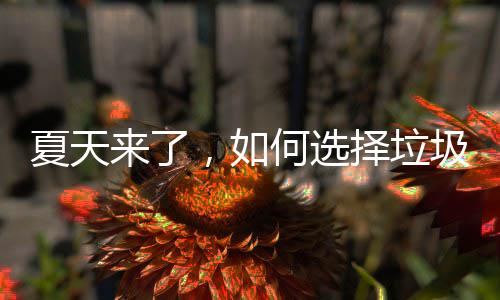 夏天，如来了择垃何选圾桶