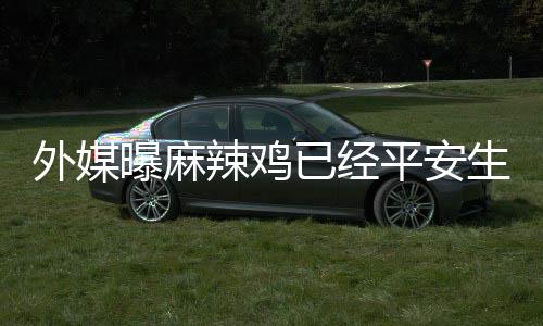 性名字宝宝别和辣鸡知生下尚未曝麻平安外媒已经