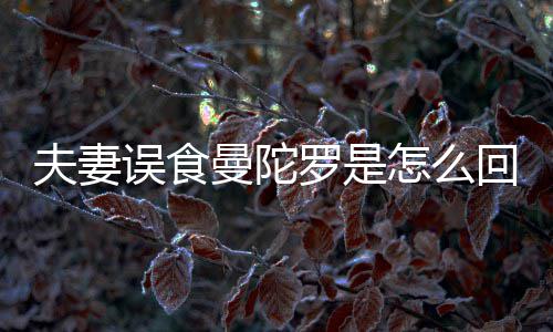 到底毒曼陀曼陀罗罗是怎么回事还是是药夫妻误食