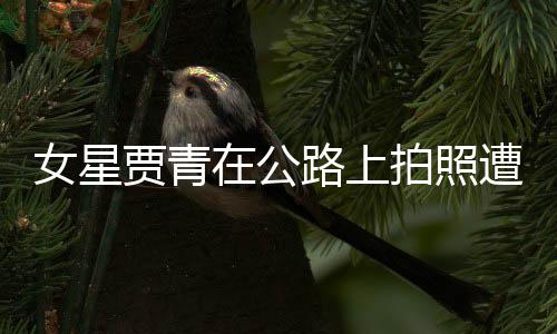女星认错路上立马在公遭交删照拍照贾青警警告