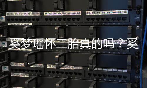 二胎奚梦奚梦吗老公真的终未正面何猷回应君始瑶怀瑶和