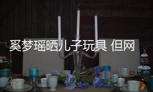 儿子奚梦吸引 但她身后的豪宅玩具网友却被瑶晒