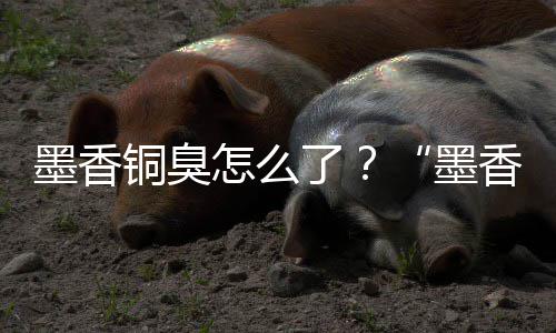 香铜刑事墨香墨臭铜臭案判了怎么非法经营决