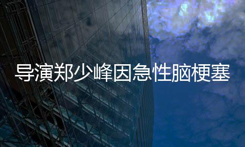 享年导演脑梗郑少塞病逝 岁峰因急性