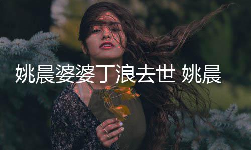 媳 丁浪晨不只挚友是婆婆婆去世更是姚晨 姚